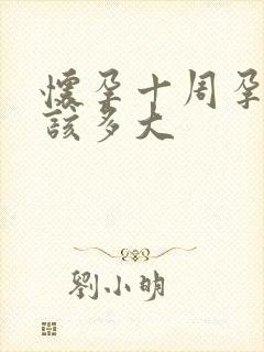 怀孕十周孕囊应该多大