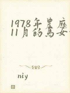 1978年农历11月的马女命运如何