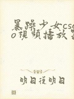 暴躁少女csgo视频播放器推荐