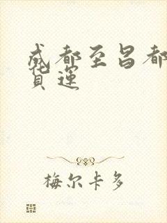 成都至昌都专线货运