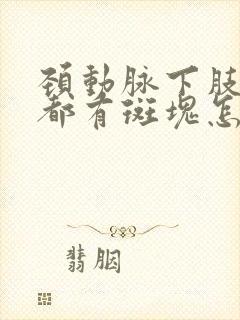 颈动脉下肢动脉都有斑块怎么办