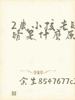 2岁小孩老眨眼睛是什么原因