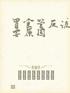 胃食管反流的主要原因