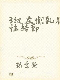 3级左侧乳腺实性结节