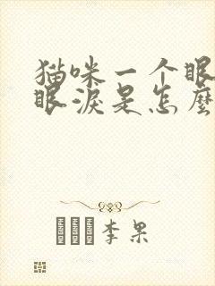 猫咪一个眼睛流眼泪是怎么回事封面