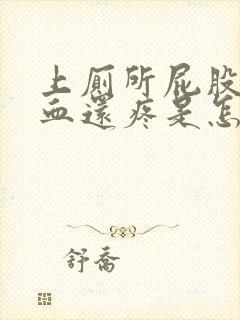 上厕所屁股擦出血还疼是怎么了封面