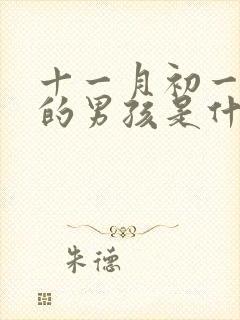 十一月初一出生的男孩是什么命