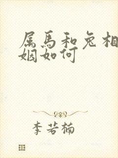 属马和兔相配婚姻如何封面