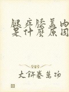 腿疼膝盖内侧疼是什么原因