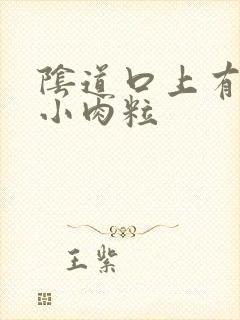 阴道口上有一个小肉粒