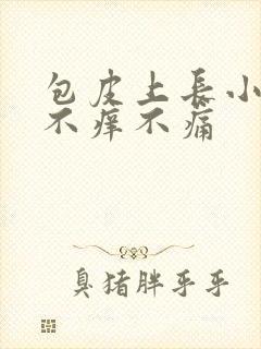 包皮上长小疙瘩不痒不痛封面