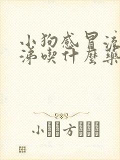 小狗感冒流黄鼻涕吃什么药