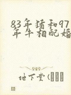 83年猪和97年牛相配婚姻如何