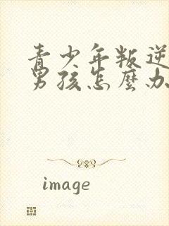 青少年叛逆期的男孩怎么办封面