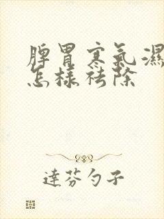 脾胃寒气湿气重怎样祛除