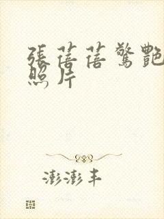 张蓓蓓惊艳高清照片