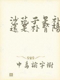 沙苑子是补肾阴还是补肾阳封面