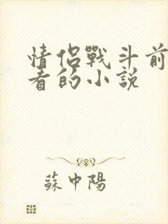 情侣战斗前适合看的小说