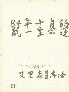 84年十月的女鼠一生命运