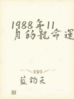 1988年11月的龙命运如何封面