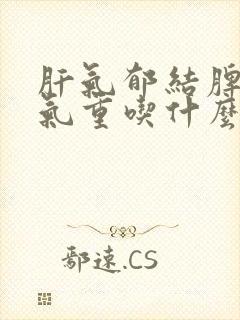 肝气郁结脾虚湿气重吃什么中成药