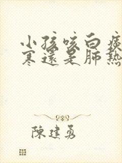 小孩咳白痰是肺寒还是肺热