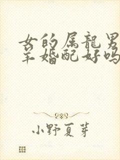 女的属龙男的属羊婚配好吗