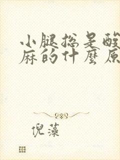 小腿总是酸胀麻麻的什么原因封面