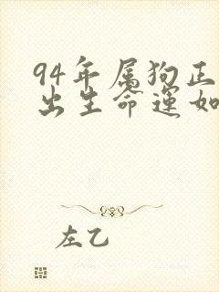 94年属狗正月出生命运如何