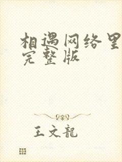 相遇网络里原唱完整版封面