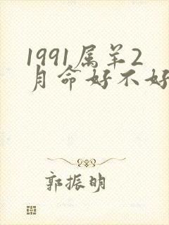 1991属羊2月命好不好封面
