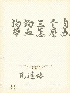 狗狗三个月拉稀带血怎么办