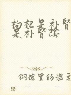 枸杞是补肾阳还是补肾阴