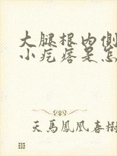 大腿根内侧长了小疙瘩是怎么回事