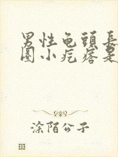 男性龟头长了一圈小疙瘩是什么