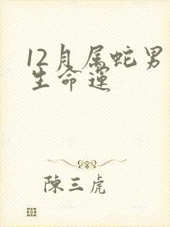 12月属蛇男一生命运