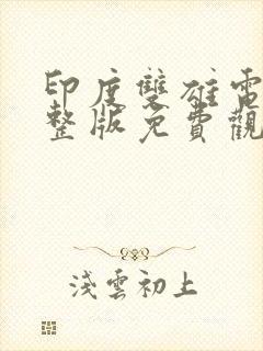 印度双雄电影完整版免费观看封面