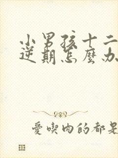 小男孩十二岁叛逆期怎么办