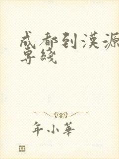 成都到汉源物流专线封面