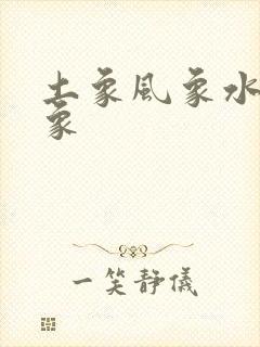 土象风象水象火象