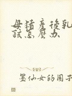 母猪产后乳不通该怎么办