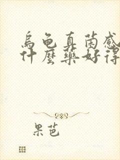 乌龟真菌感染用什么药好得快