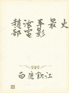 赵汝平最火的三部电影