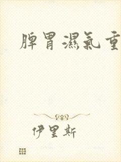 脾胃湿气重症状