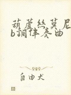 葫芦丝莫尼山降b调伴奏曲