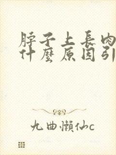 脖子上长肉揪是什么原因引起的