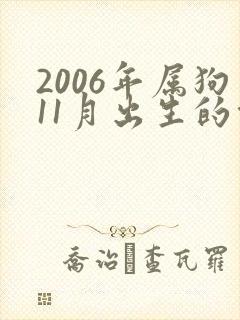 2006年属狗11月出生的命运
