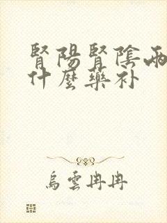 肾阳肾阴两虚吃什么药补封面