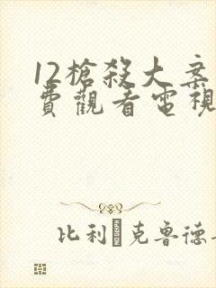 12枪杀大案免费观看电视剧封面