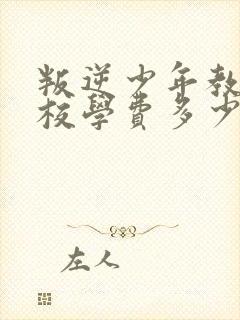 叛逆少年教育学校学费多少